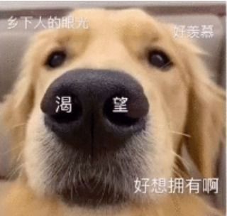 腾讯内容开放平台