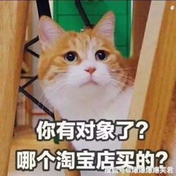 爆笑段子女同事说她公公六十多了,自己儿子舍不得指使老公