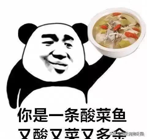 搞笑段子小偷抢了个女式包,看到夹层遥控器,顺手一按