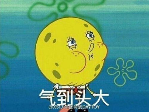 201007肖海绵宝宝表情包富翁战认证那些年战战用过的海绵宝宝们