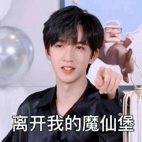 粉丝投稿贺峻霖表情包