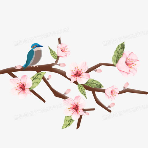 卡通简约清新二十四节日花鸟元素png图片素材免费下载psd格式30003000像素熊猫办公