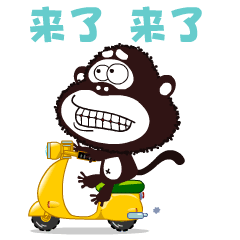呆萌幸运猩qq表情gif幸运猩qq动态表情大全