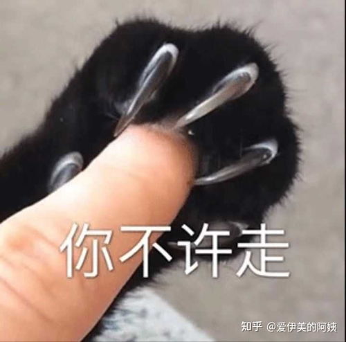 在广州三甲医院那个医生做双眼皮好