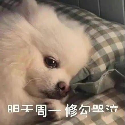 搞笑沙雕表情包