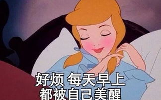 资料查询十大品牌网