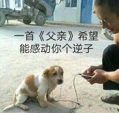 您的醋劲十足表情包已经上线,请注意查收,小柠檬请一边站