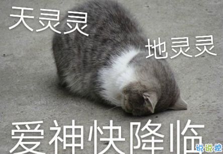 心情好很好的时候发朋友圈的可爱句子有趣的文案配上开心的你