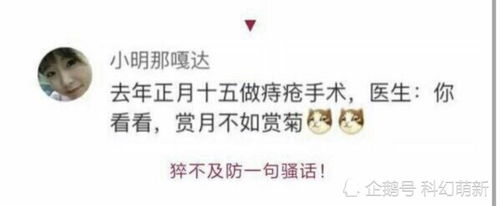 每日一笑,当鲨鱼被做成表情包会有多可爱