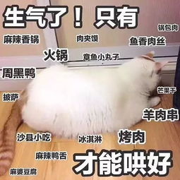 表情包多的同学,人缘总不会太差太准了