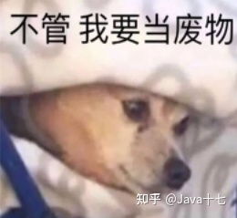 自从外包三年半,程序员人废了一半