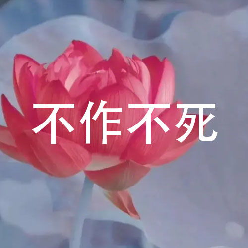 微信头像荷花并配字荷花头像带字佛系静心