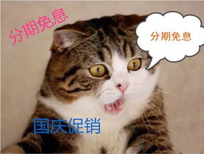 扎心月薪不到4000元的人,多半经历过这24个心酸的瞬间