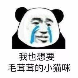 表情包老子醒了,快跟老子说早安安