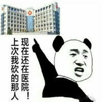 搞笑金馆长熊猫头实力装逼微信qq表情包图片
