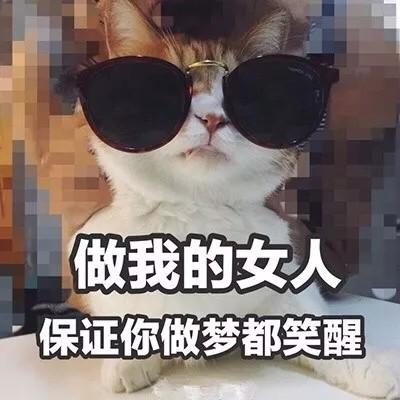 qq搞笑头像搞笑头像大全搞笑头像男生女生腾牛个性网