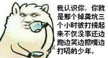 有没有和这个图片差不多的发给我