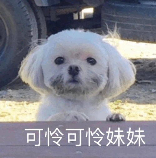 地学研究