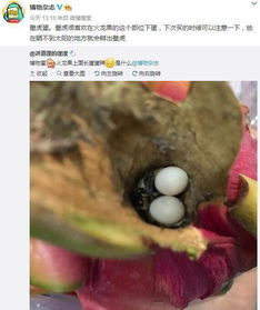搞笑十图微信表情猥琐大叔,竟然是漫画大神