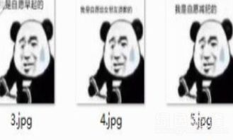 我是自愿减肥的qq表情包我是自愿减肥的表情素材v1.0官方版软件下载