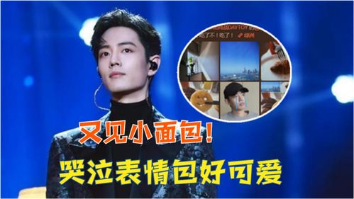 又见小面包肖战绿洲晒美食,发自己哭泣表情包好可爱