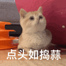 航天科技做出冰火两重杯不仅保温还能暖手,一摇极速变热
