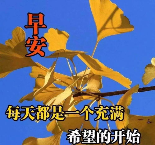 周六漂亮早上好祝福语表情图片,新版早安问候句子大全