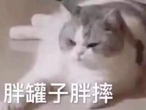 e句话看天下丨孙燕姿都被叫冷门歌手