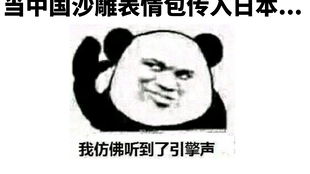 当中国沙雕表情包传入日本...日本网友这波我天秀中国网友你怎么扛着品如的衣柜