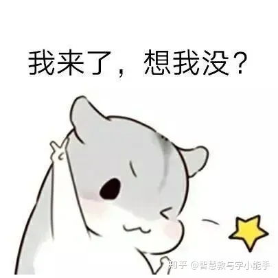 搞笑表情包动图黑石洞