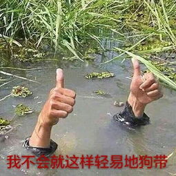 二楼定律黑卡到底是什么卡