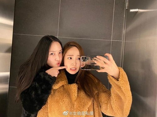 郑秀妍郑秀晶姐妹的镜面自拍,毛绒绒的两只小可爱