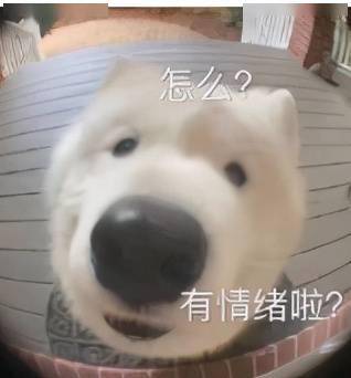 知名女主播张琪格直播拿户口本征婚27,本科,明天就能领证