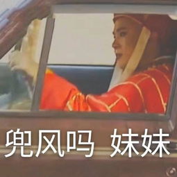 斗图表情包合集兜风吗妹妹