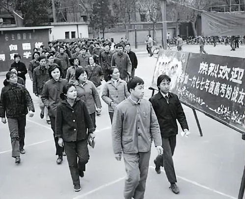 浙江男子痴迷穷游,35年徒步拉车30万公里,59岁走到黑河人没了