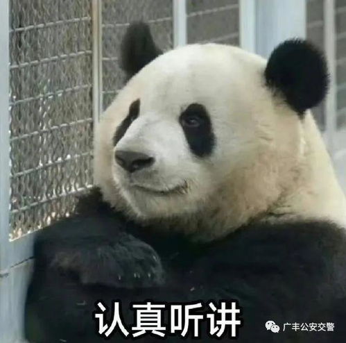 广丰交警持续开展三零一戴主题宣传和集中整治活动