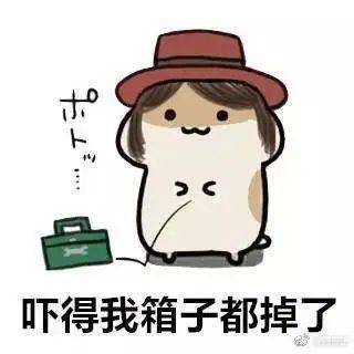 陌生女子在泰州一女子屋内直播,竟是自己老公的新人
