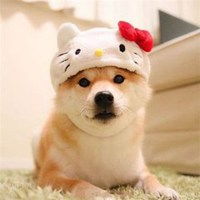 搞笑狗链子表情包
