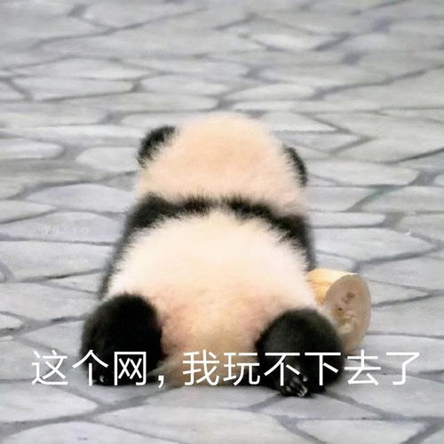 搞笑表情包更新只想做你一个人的舔狗
