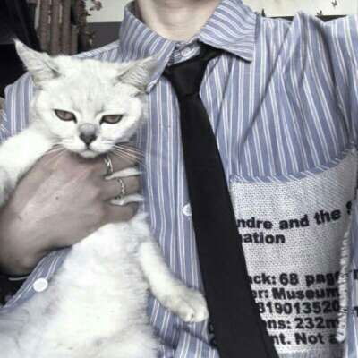 抱猫男头男生抱在怀里猫咪头像