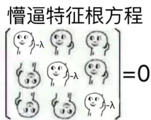 院部动态丨数学与统计学学院带你钻进数统人的日常