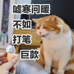 搞笑微信表情微信红包