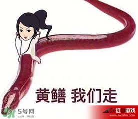七彩皮皮鳝是什么梗七彩皮皮鳝我们走是什么意思