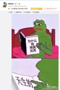 萌翻她可能是游得最快的表情包搞笑也有洪荒之力