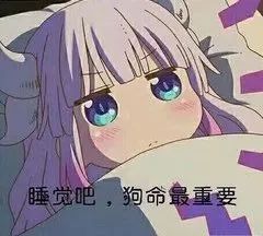 双12剁手不