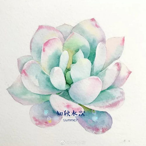小清新水彩,好喜欢