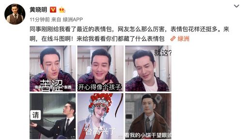组图黄晓明绿洲晒自己的表情包喊话网友在线斗图画风搞笑