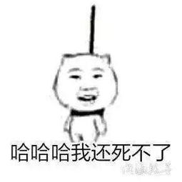 表情包文字素材搞笑简单粗暴