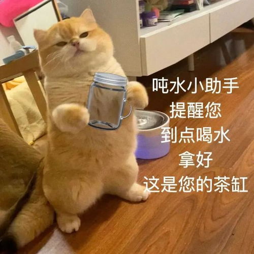 搞笑必备技能表情包3.03