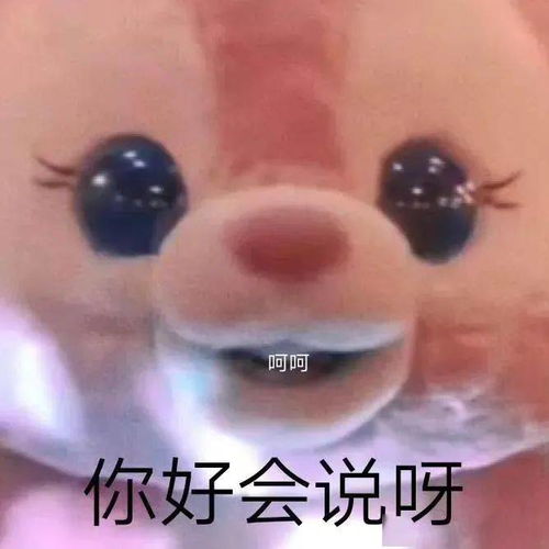 每日沙雕表情包